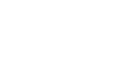 Southern Trial Lawyers